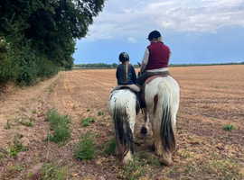 Safe Loving Alround Children's Pony