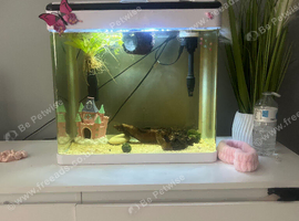 20L fish tank