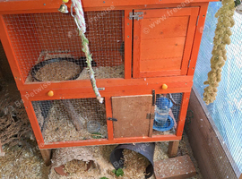 Aviary shut down