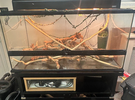 3ft exoterra Viv & stand