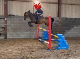 Top track show jumping 128 prospect