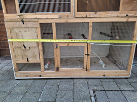 Double canary breeding cages