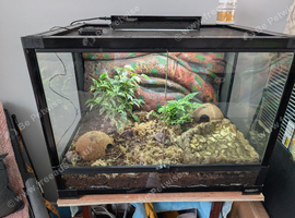 Prorep terrarium