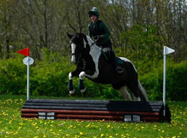 6yo safe and steady