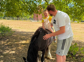 Blue 12.1 Welsh cob
