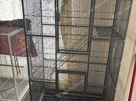 3 tier parrot cage.
