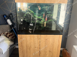 272L Evolution Aqua Tank, Stand and Aquasoil