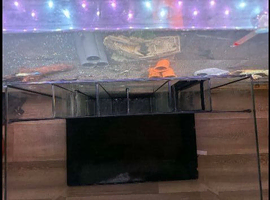 Aqua one 60/100 tank