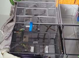Flight cage 2 connected as one