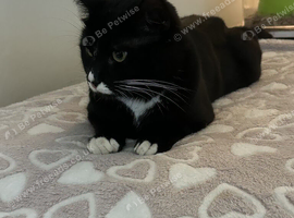 black white one year old boy regi