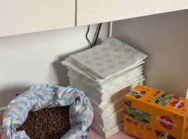 Dog food and puppy pad bundle
