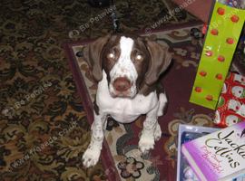 Ralf