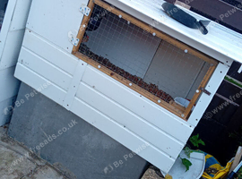 Pigeon kitbox