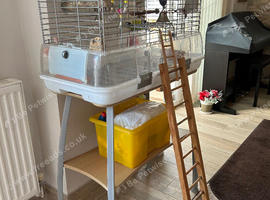 Large Vision Cage for birds with stand