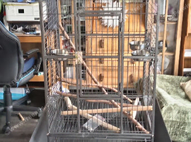 Large parrot cage.