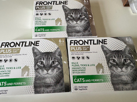 Frontline plus spot on cat 3 &times; 6 pipettes