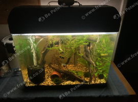 Whole tank setup
