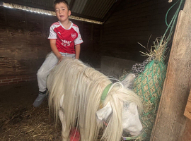 Family friend super pony