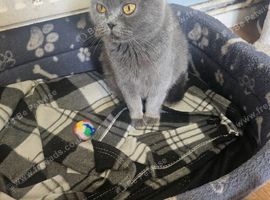 Gorgeous girl