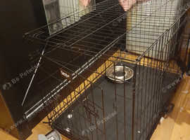 Dog cage large