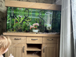 Aqua one 240l 4ft fish tank oak