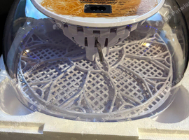 Incubator