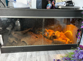 Xl vivarium 4ft x2ft