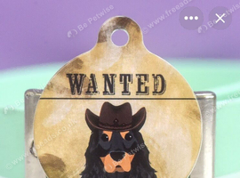 Small breed pup wanted