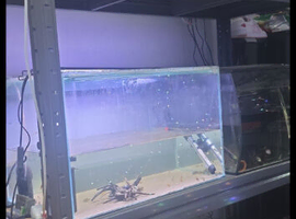 Fish tank racking system
