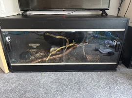 Large Vivarium