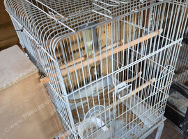 Cockatiel Cage with or without Nest Box