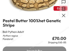 Pastel butter 100% Het generic stripe