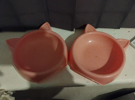 Cat accessories