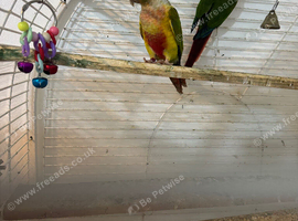 Male and female