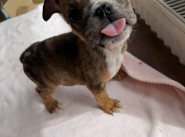 One little girl