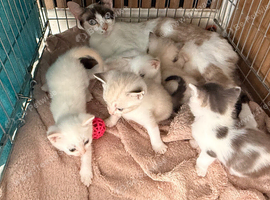 3 boys and 2 girls