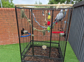 Large parot cage for sale