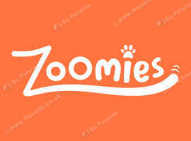 zoomies pet transport (pet taxi)