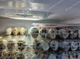 Quail Eggs