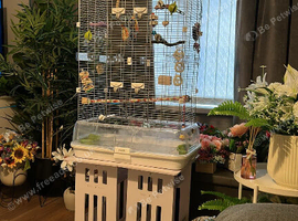 Brand new vision cage with the stand it is on