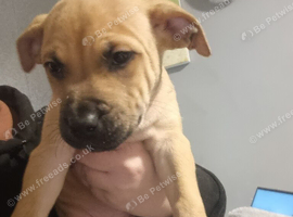 Re advertising due to owner pulling out