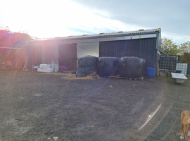 2 spaces available livery or grass/retirement.