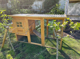 COCOON chicken coop