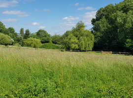 WANTED grazing land to rent in Northumberland/Newcastle/Gateshead