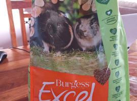 Guinea pigs food Burgess Excel Nuggets Mint
