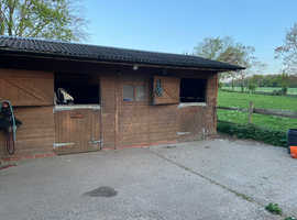 2 acres of paddock, sharing with one other pony