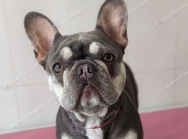 Luna - 5Y KC registered