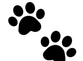 Dog walking &pound;10 - &pound;15 an hour