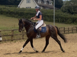 The Rising Star For The ROR Circuit