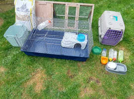 Guinea pig accessories